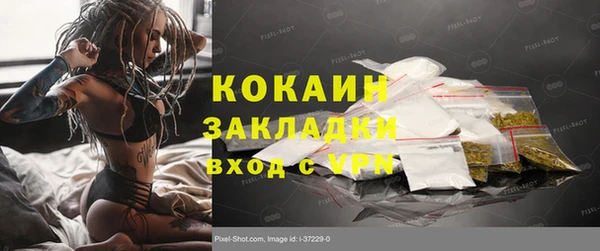 гидра Аркадак