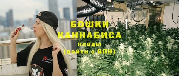 прущие грибы Абдулино