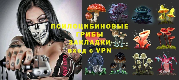 прущие грибы Абдулино