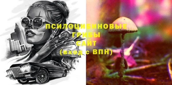 ешки Алексин