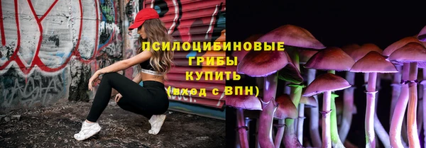 СК Абаза