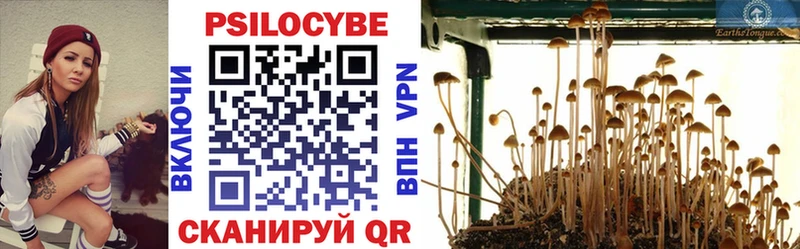 Галлюциногенные грибы Magic Shrooms  закладки  Темников 